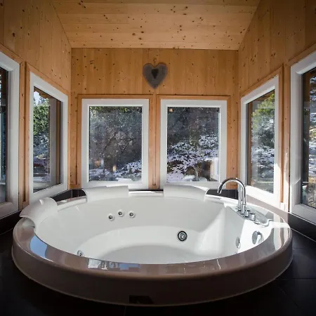 Chalet Alpenpark Turracherhöhe 4 Chalet *