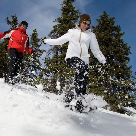 Chalet Chalet Alpenpark Turracherhohe 4 *